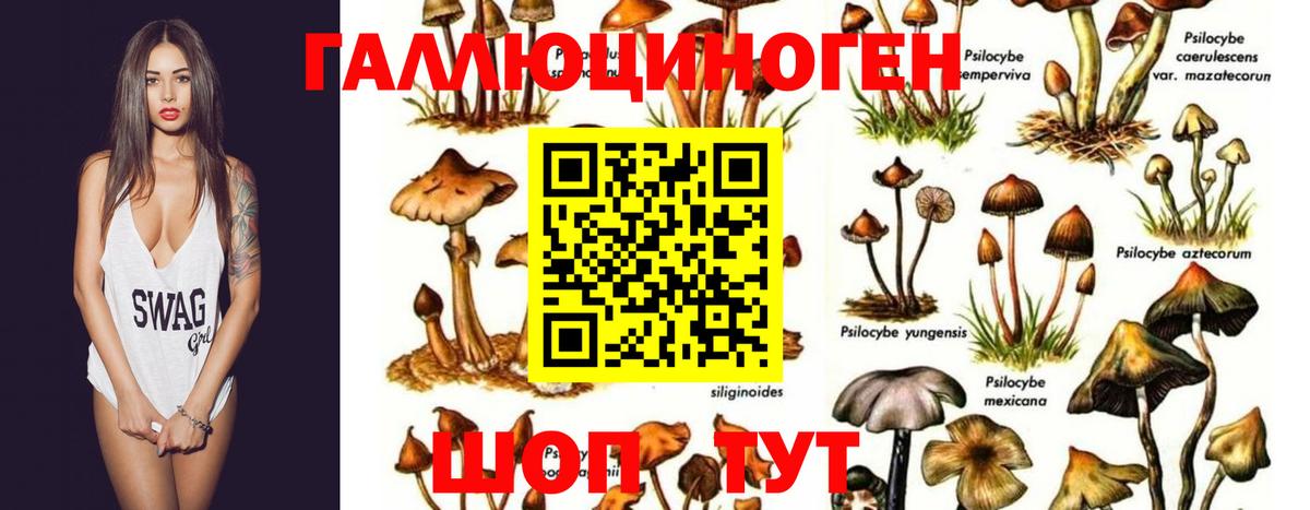 Псилоцибиновые грибы Magic Shrooms Мытищи