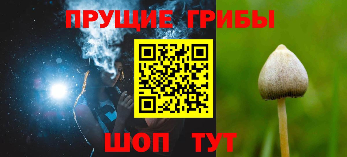 Галлюциногенные грибы GOLDEN TEACHER  Вход с VPN  Мытищи 