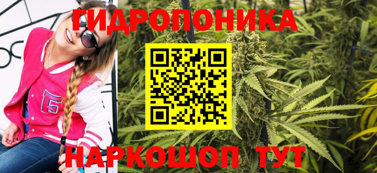 Мытищи  МАРИХУАНА планчик  Каннабис конопля  Вход с VPN  Бошки Шишки марихуана 